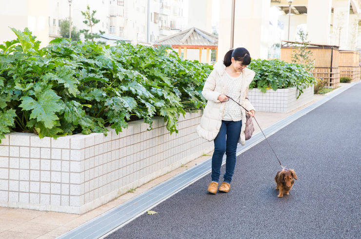 お外でお散歩