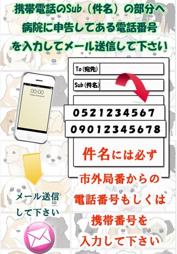 32458548_453901211731243_8683404852866318336_n